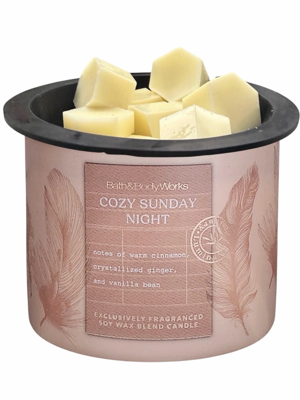 Wax Melts 4oz - Bath and Body Works - Cozy Sunday Night
